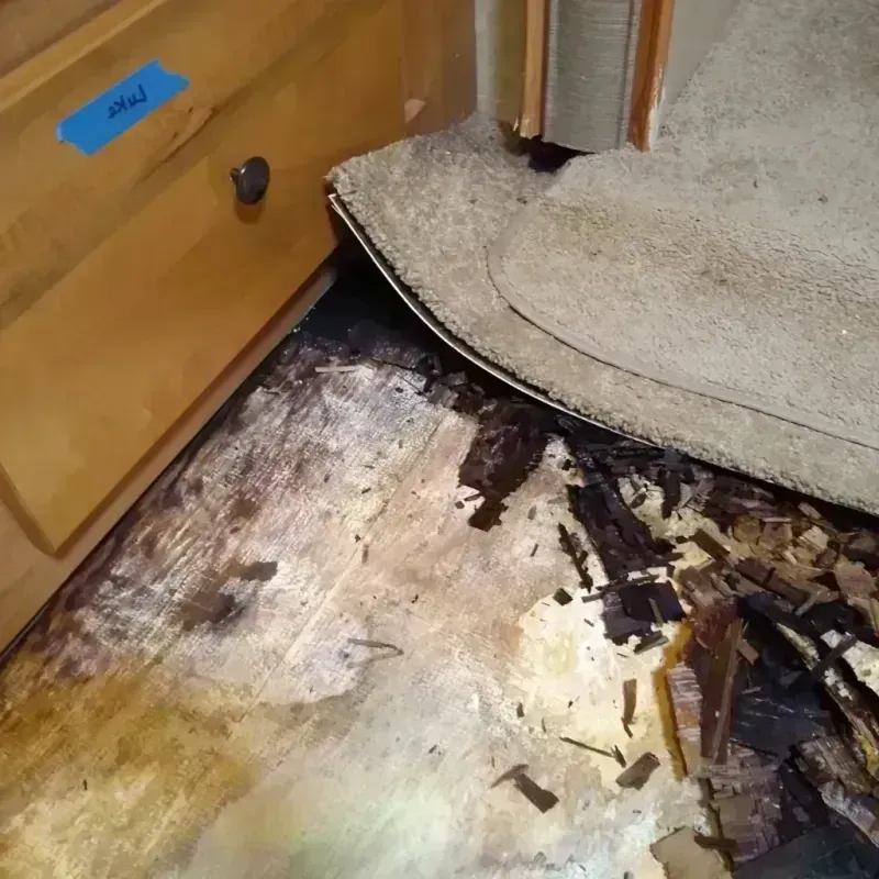 Wood Floor Water Damage in Vista Santa Rosa, CA